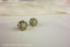 Wedgwood Jasperware Sterling Silver Stud Earrings