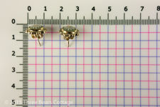 Wedgwood Jasperware Sterling Silver Stud Earrings