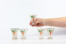 Hand Painted Frosted Shot Glasses