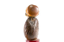 Henry Howell Dunhill YZ Tagua Nut Bird Bottle Stopper