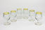 French Gold-rimmed Liqueur Glasses