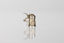 Silver Beer Tankard Charm